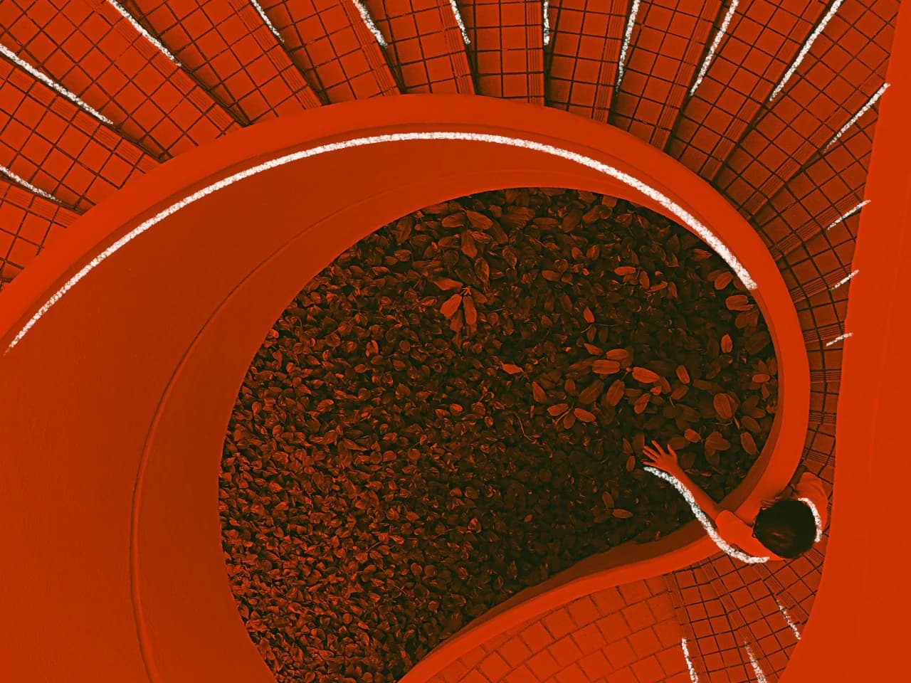 Growth strategy program